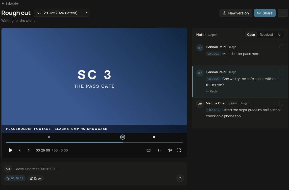 Timecode review player with a fictional sample title frame, version selector and timecoded feedback.